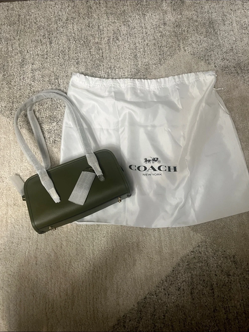 COACH Swing Zip Small in Olive